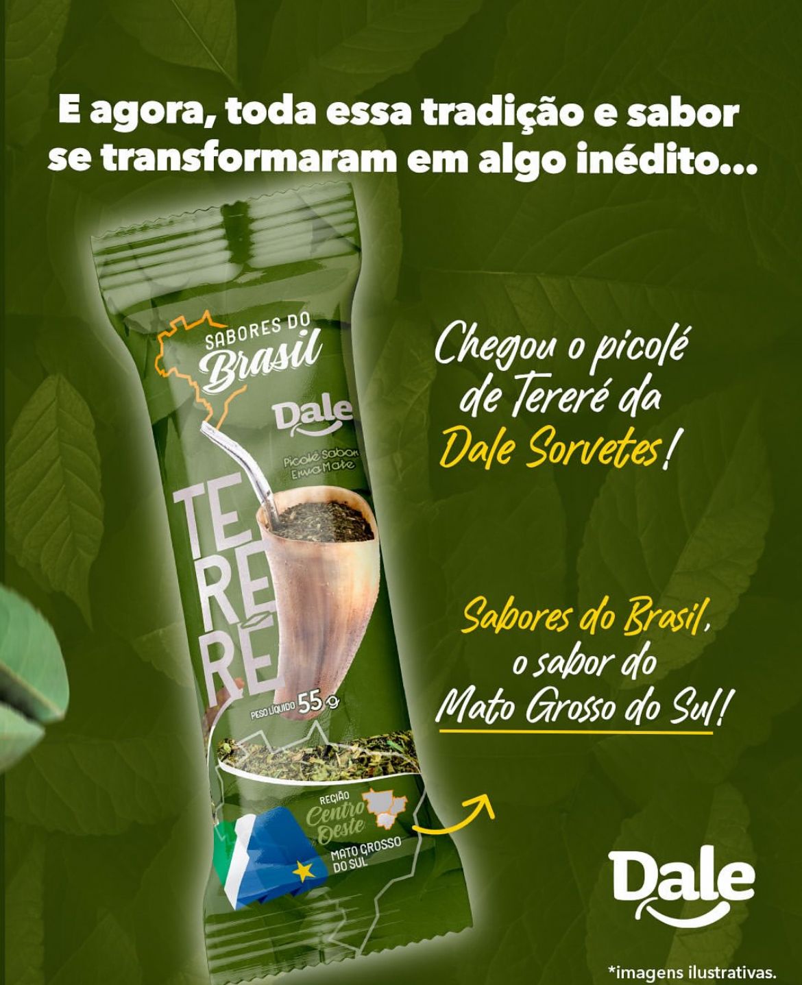 WhatsApp Image 2025-10-15 at 19.19.07